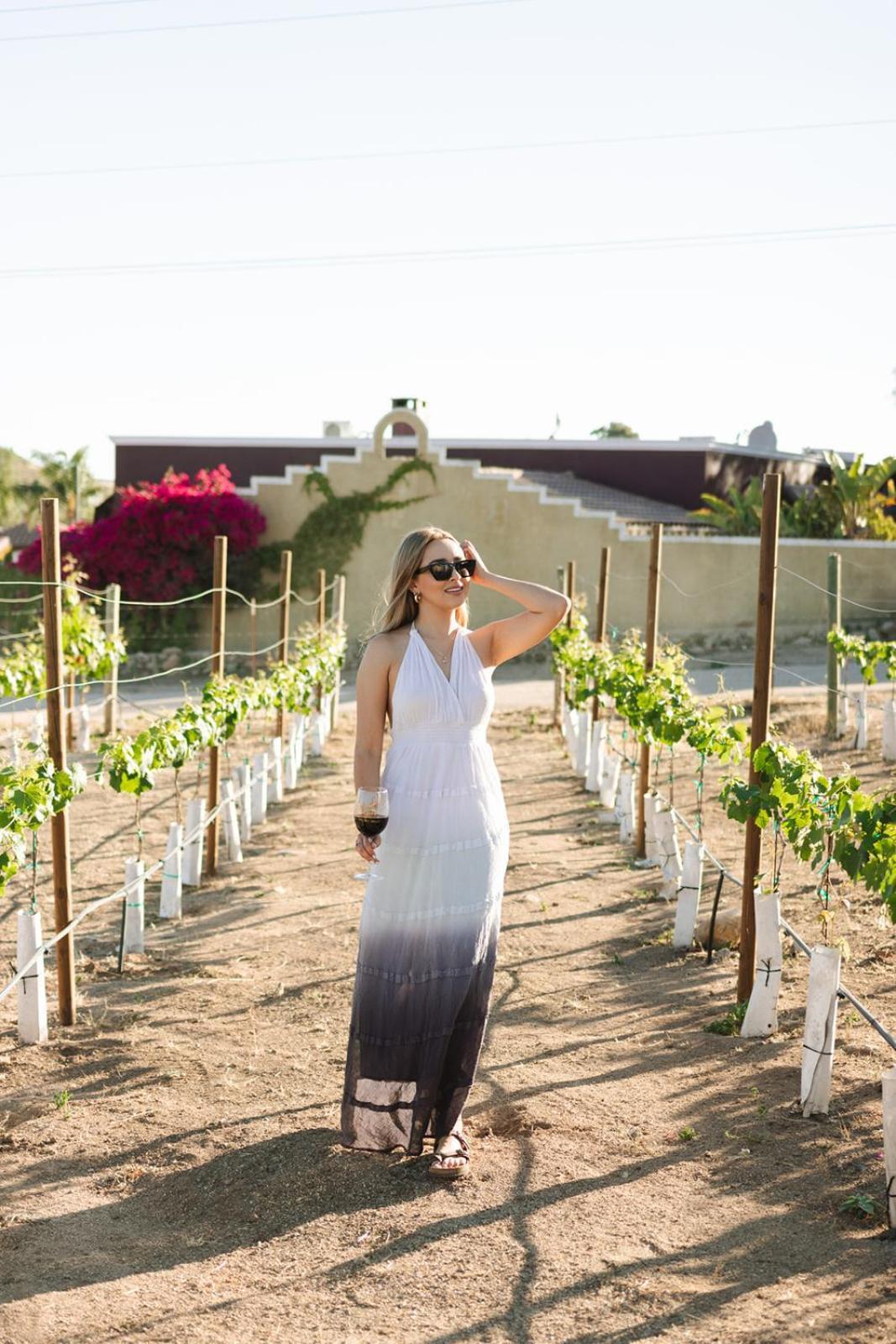 Sol Del Valle Valle de Guadalupe Exteriér fotografie